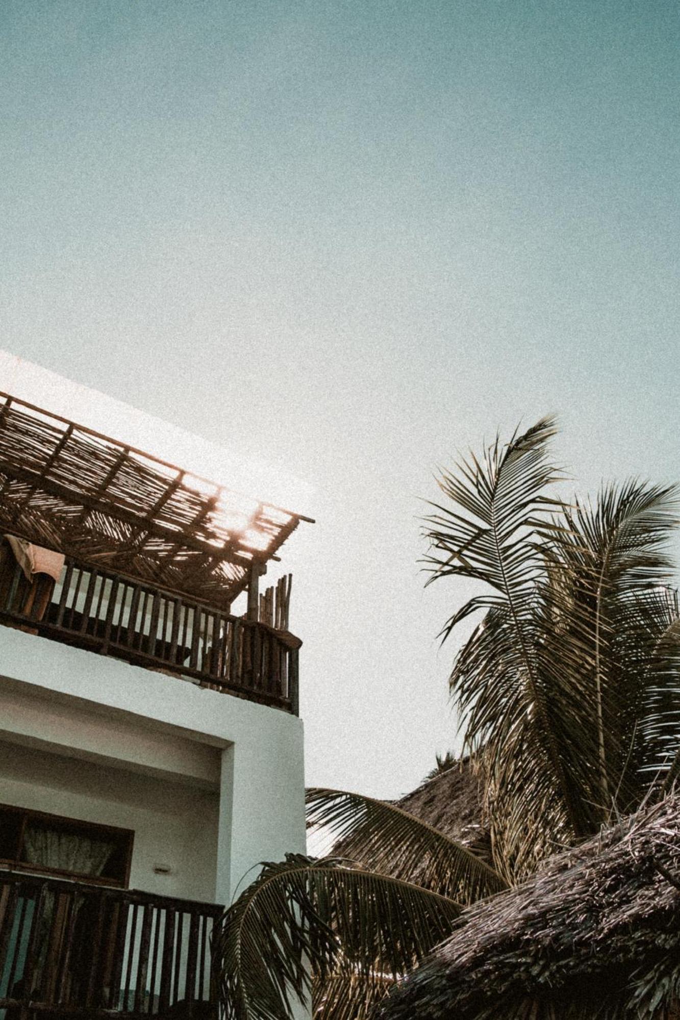 Pili Pili Sunrise Beach Hotel Jambiani  Eksteriør billede