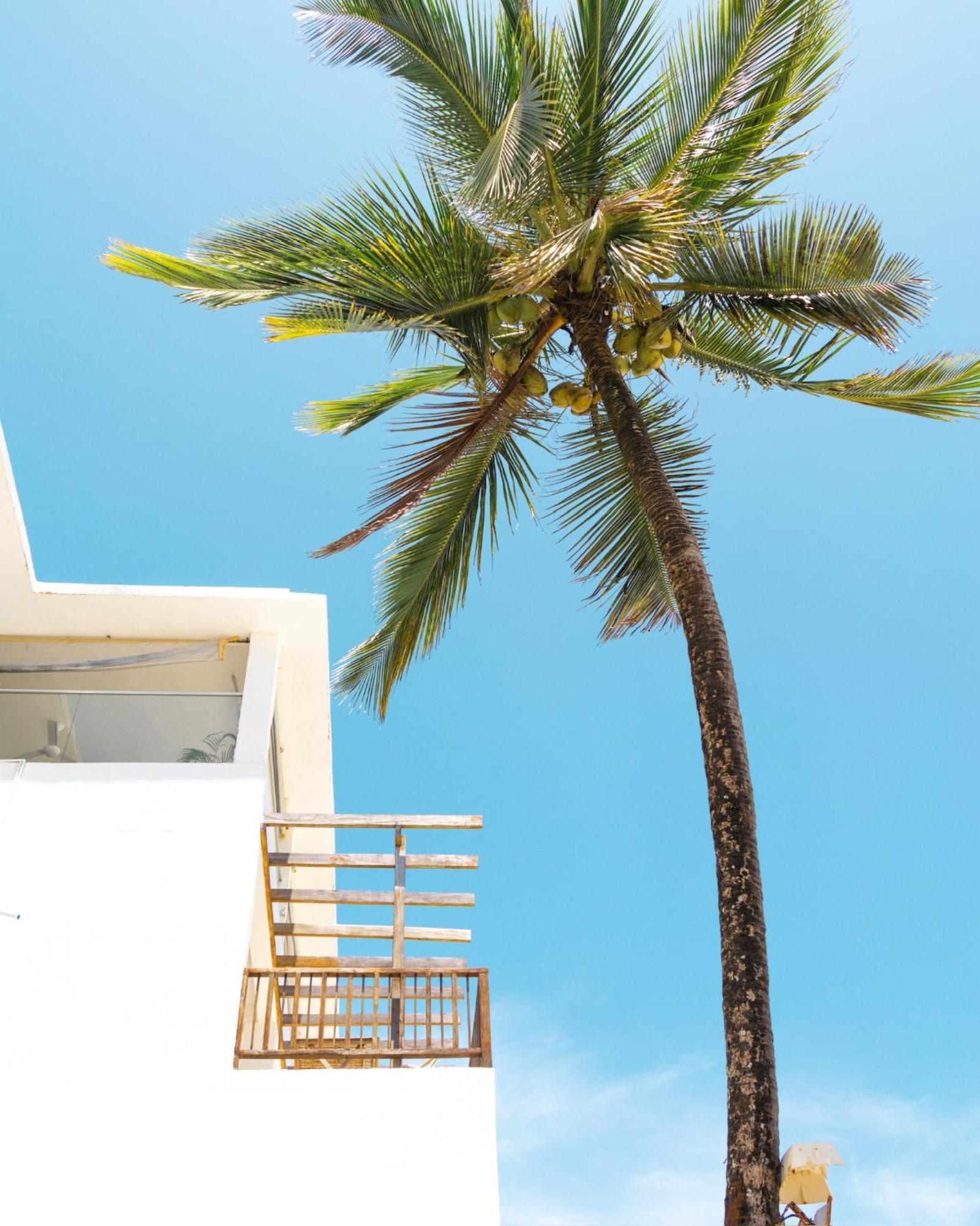 Pili Pili Sunrise Beach Hotel Jambiani  Eksteriør billede